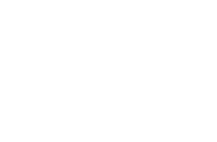 誠実を旨とせよ 忍耐ことに当たれ 機敏にことを処せ